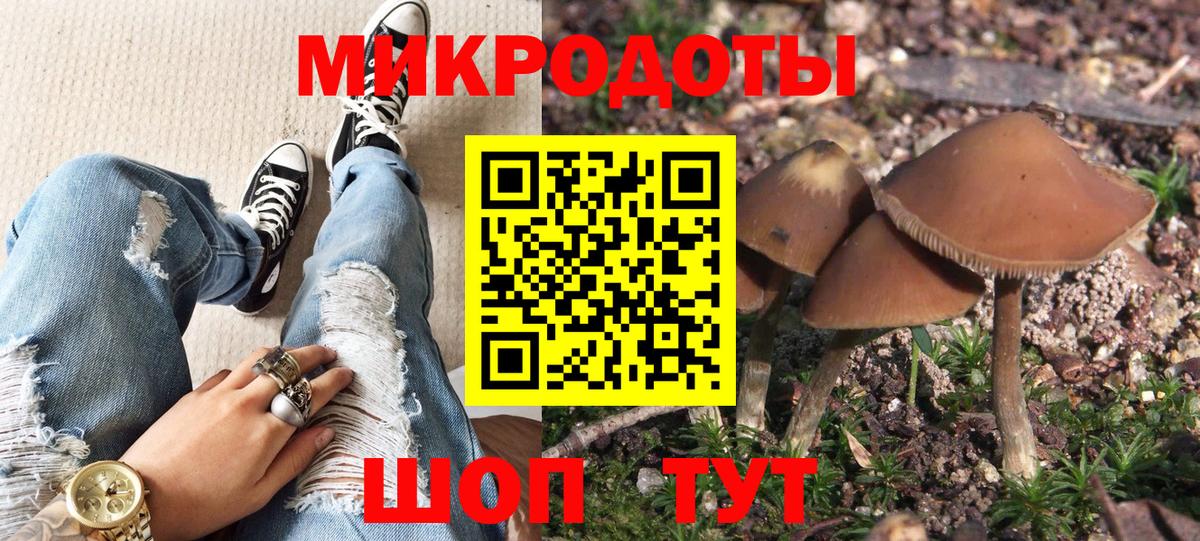 Псилоцибиновые грибы Magic Shrooms Сокол