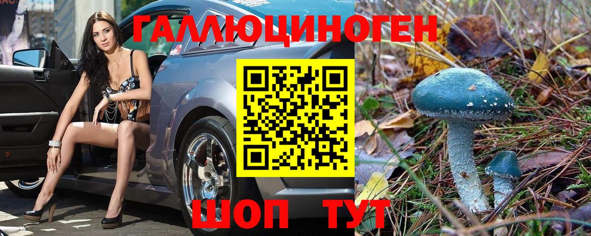 цена   Псилоцибиновые грибы Psilocybe  Вход с VPN  Сокол 